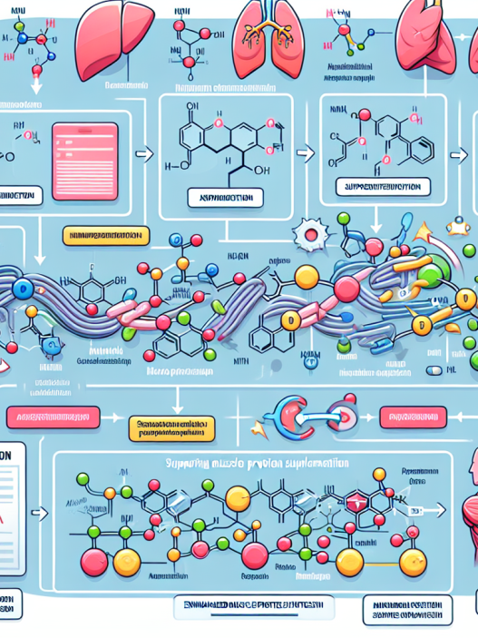 Unterstützung der Muskelproteinsynthese durch Supplementation: Die Rolle von Nandrolon phenylpropionat