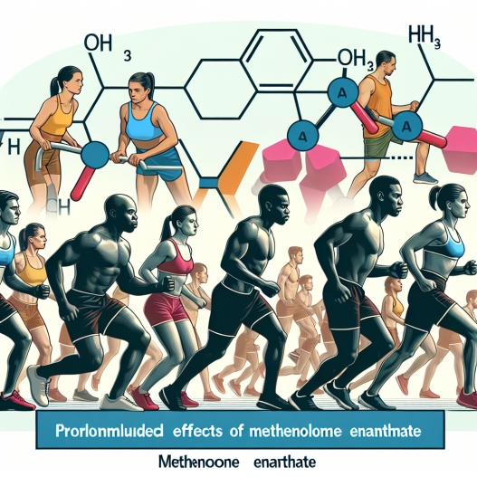 Trainingsadaptation und Methenolone enanthate: Langzeiteffekte auf Athleten